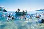 2 Day Tangalooma Wild Dolphin Resort Adventure (quad share)