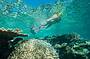 Get High Package - Snorkel & 10 Min Scenic Flight