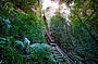 World's Steepest Railway