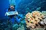 Outer Reef Cruise + 1 Dive Package