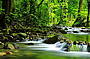 Mossman Gorge