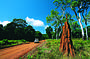 Cape York - 9 Day Accommodated Safari Drive/Fly