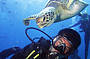 Get High Package - Dive, snorkel & 10 Minute Flight