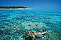 Snorkel or choose the Glass Bottom Boat Tour