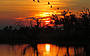 Corroboree Billabong Wetland Cruises - 2 hour sunset cruise