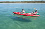 Half Day Dolphin and Stradbroke Island Tour