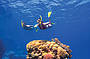 Get High Package - Dive, snorkel & 10 Minute Flight