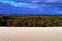 Beach & Forest Eco Adventure 9am Departure