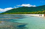 Cape Tribulation Beach Walk 