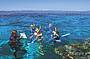 Marine biologist guided snorkel tour