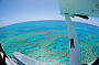 Hardy Reef in the Great Barrier Reef