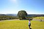 O'Reilly's, Lamington National Park + Vineyard