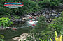 Barron River Half Day Rafting Ex Cairns