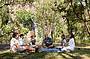 afternoon tea in the shade of paperbark trees