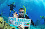 Get High Package - Dive, snorkel & 10 Minute Flight