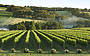 1 Day Mornington Peninsula Cheese Wine & Cider Tour 