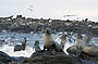 Seal Rock 