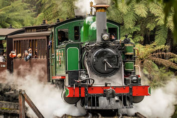 1 Day Puffing Billy, Kangaroos, Koalas and Penguins Tour